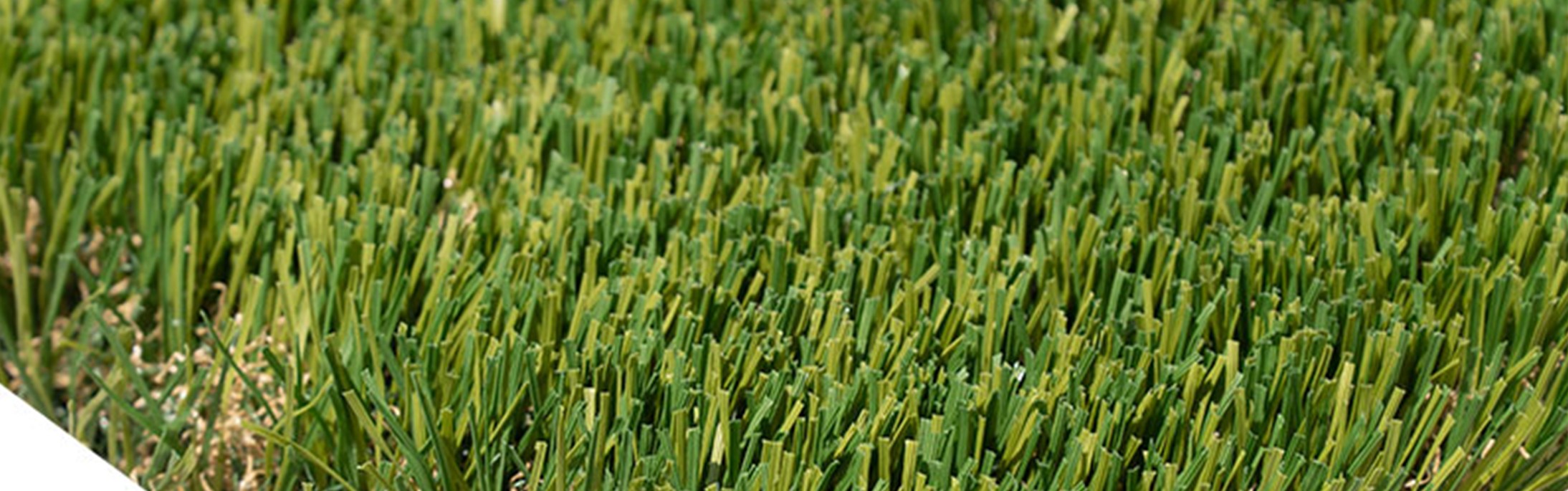 Oakmont Supreme Artificial Grass, Corona Artificial Grass & Pavers